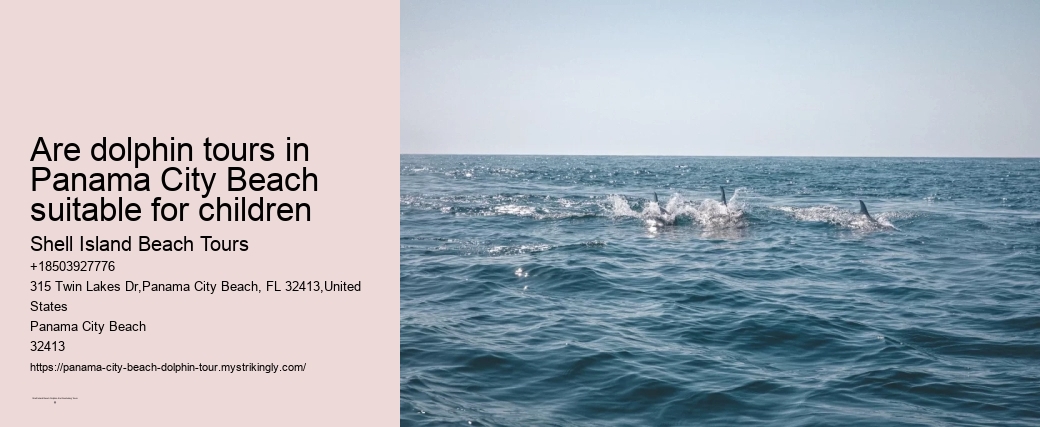 Panama City Beach dolphin expedition cruises