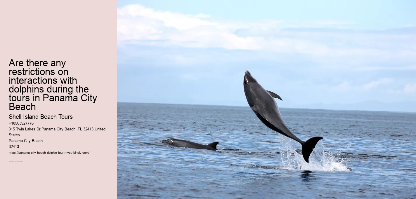 Are there any restrictions on interactions with dolphins during the tours in Panama City Beach