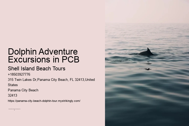 Dolphin Adventure Excursions in PCB