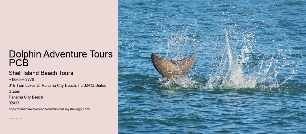 Dolphin Adventure Tours PCB