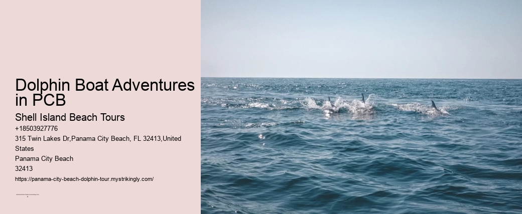 Dolphin Boat Adventures in PCB