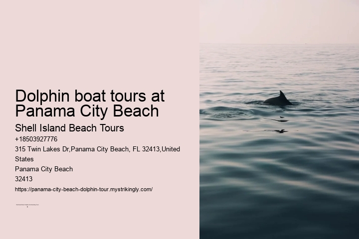 Dolphin boat tours at Panama City Beach