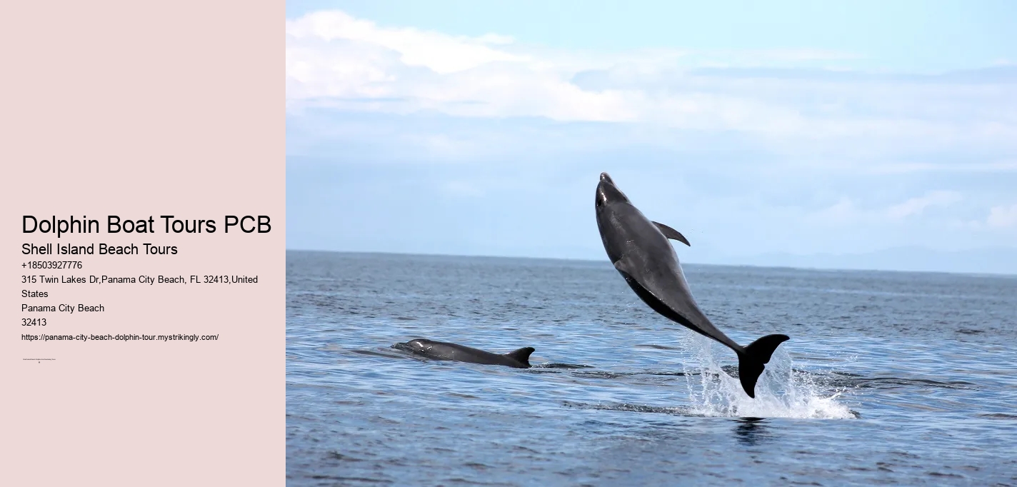 Can I interact with other marine animals besides dolphins on the tour