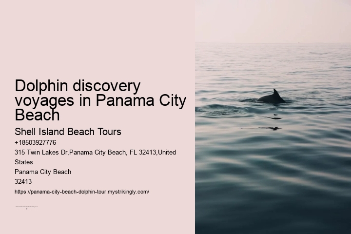 Dolphin discovery voyages in Panama City Beach