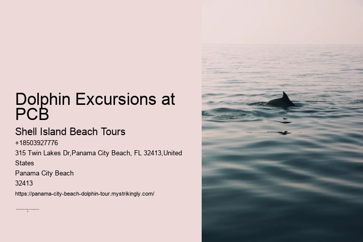 Dolphin Excursions at PCB