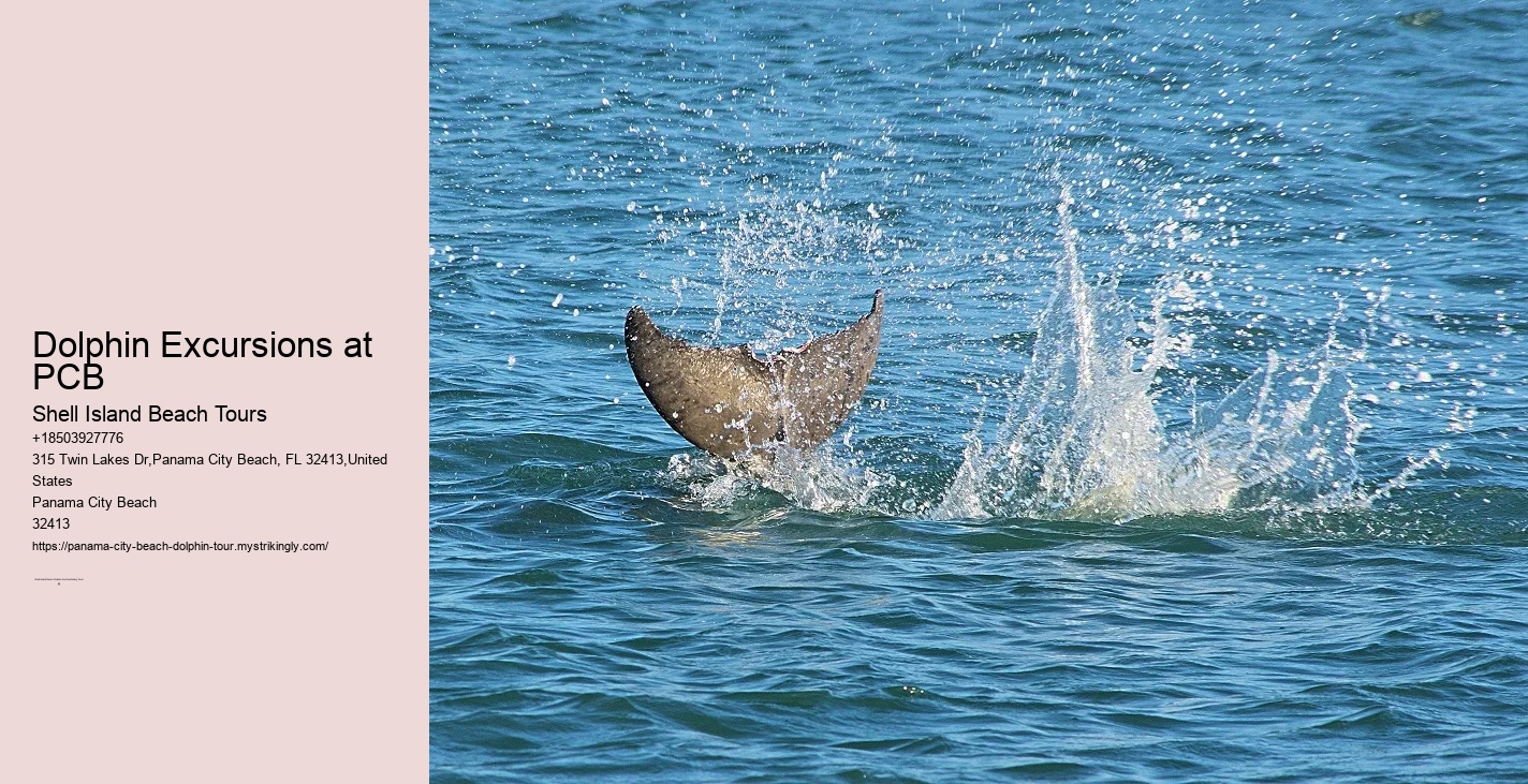 Boat Tours Panama City Beach