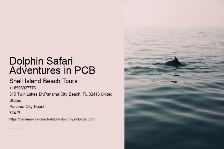 Dolphin Sightseeing Cruises in PCB