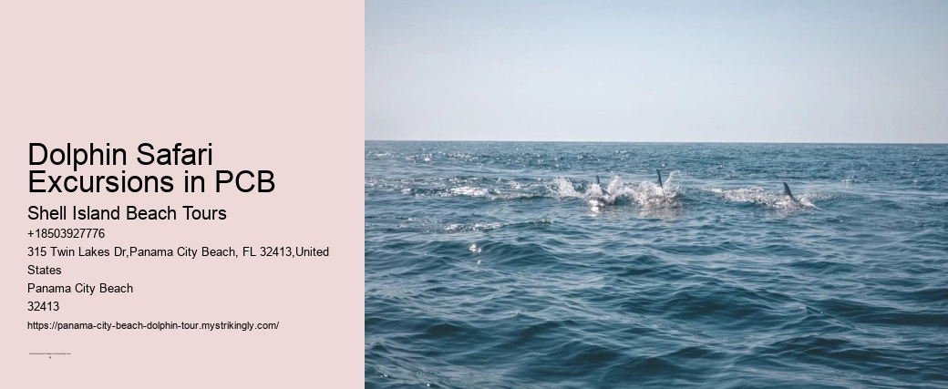 Dolphin Safari Excursions in PCB