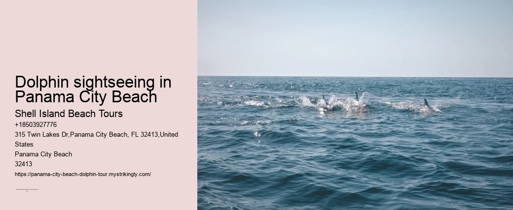 Dolphin sightseeing in Panama City Beach