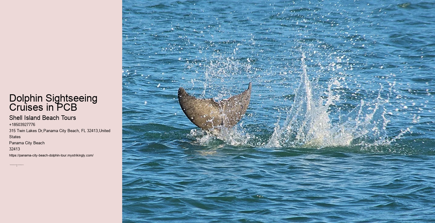 What safety measures are in place during dolphin tours in Panama City Beach