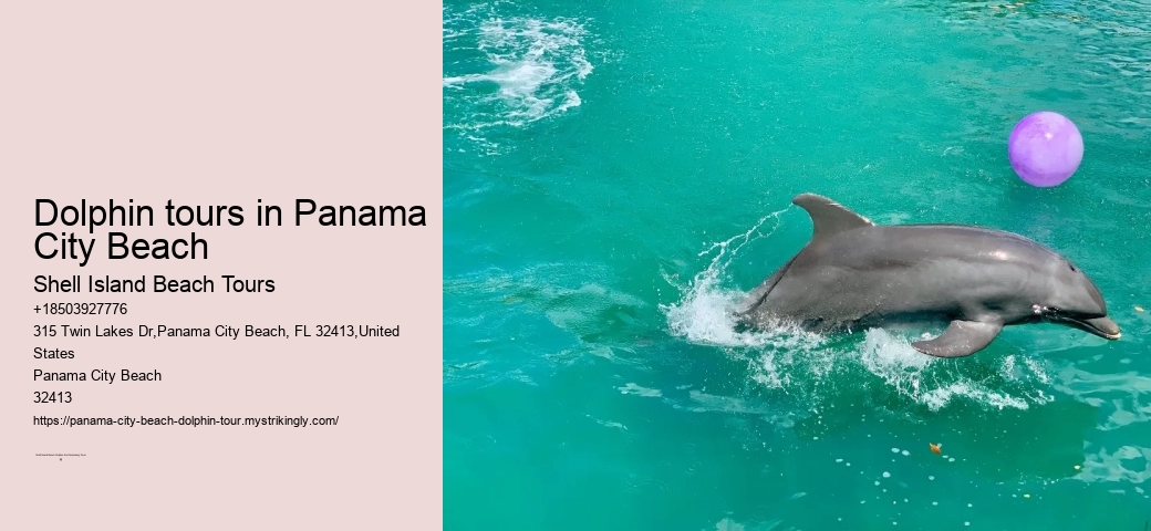 Panama City Beach eco-tours with dolphins
