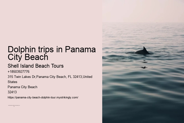 Shell Island Dolphin Tours Panama City Beach Fl