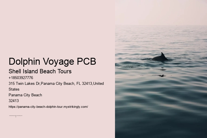 Dolphin Voyage PCB