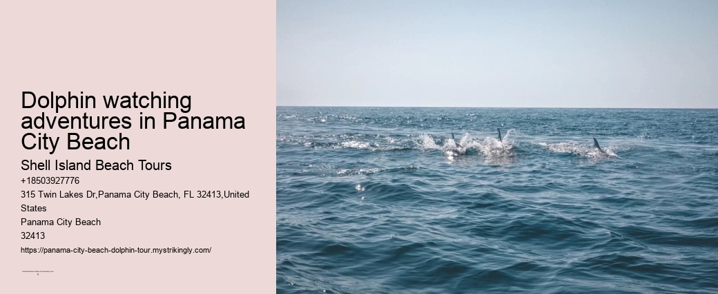 Dolphin watching adventures in Panama City Beach