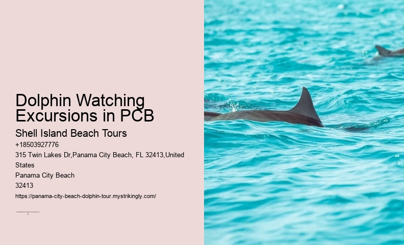 Best Panama City Beach Dolphin Tours