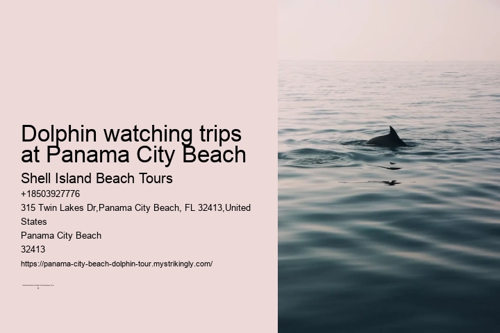 Dolphin Tours Near Me Panama City Beach