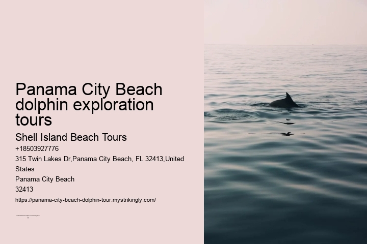 Panama City Beach dolphin exploration tours