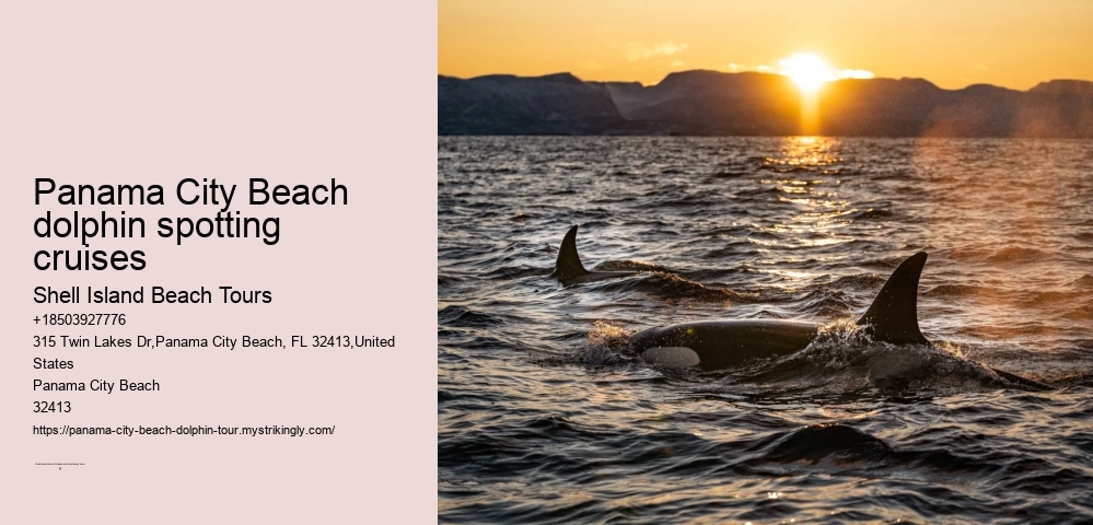Panama City Beach dolphin spotting cruises
