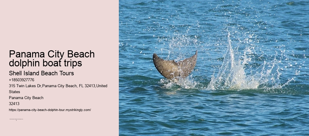 Panama City Beach dolphin boat trips