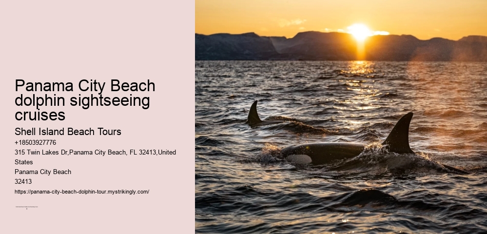 Panama City Beach dolphin sightseeing cruises