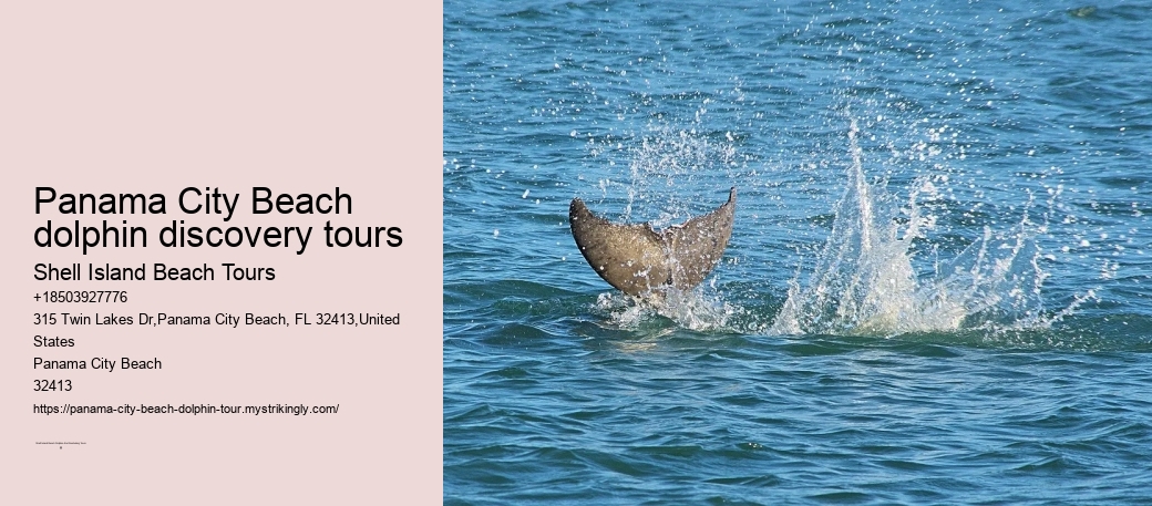 Panama City Beach dolphin discovery tours