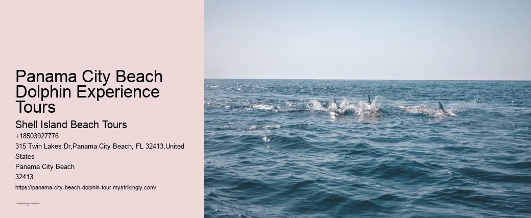 Panama City Beach Dolphin Experience Tours