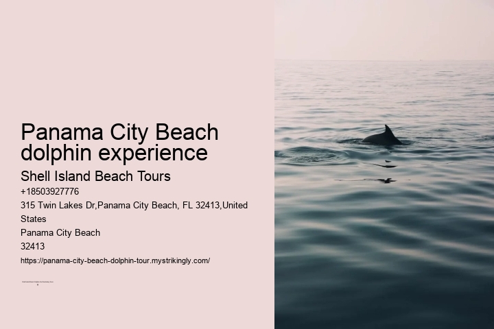 Panama City Beach dolphin experience