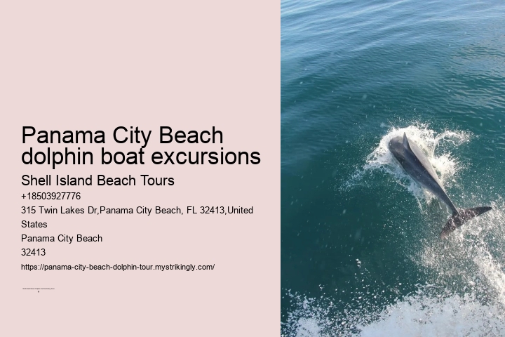 Are Panama City Beach dolphin tours suitable for people with disabilities