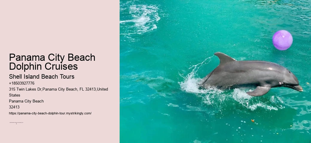 Panama City Beach Florida Dolphin Tours