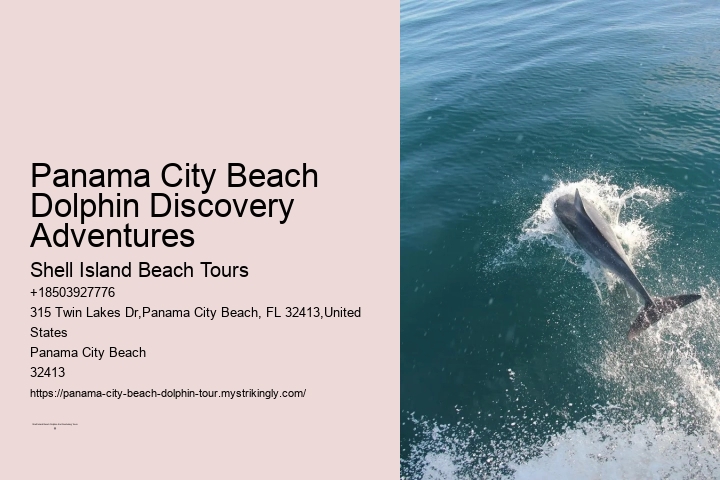 Panama City Beach Dolphin Experience Tours