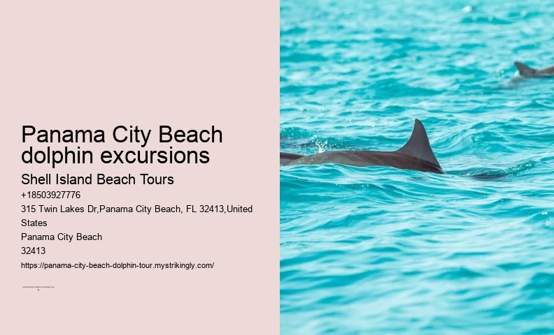 Dolphin Tours Panama City Beach