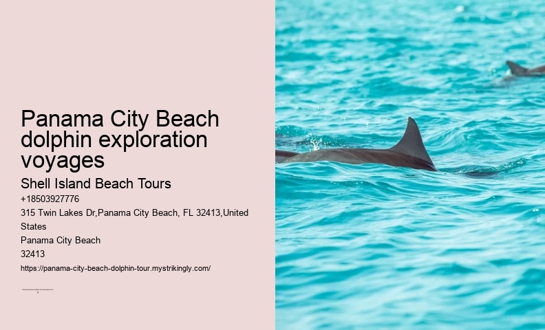 Dolphin boat rides in Panama City Beach