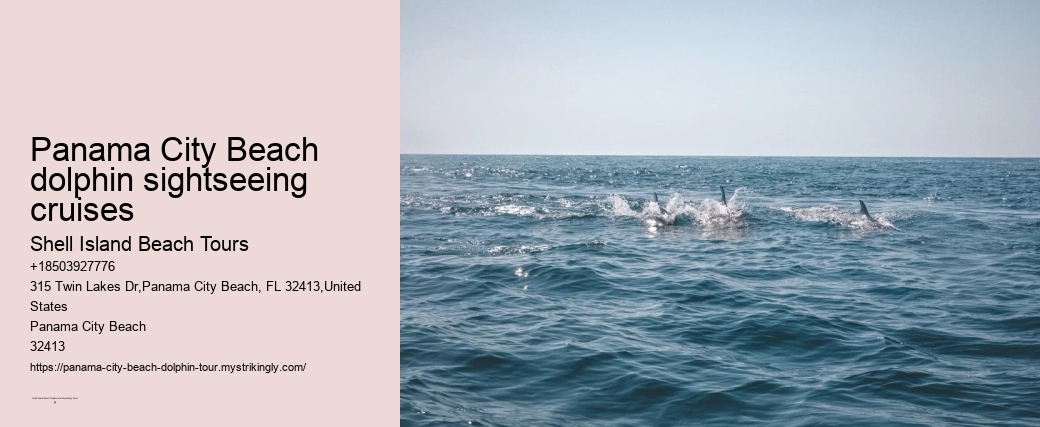 Best Panama City Beach Dolphin Tours