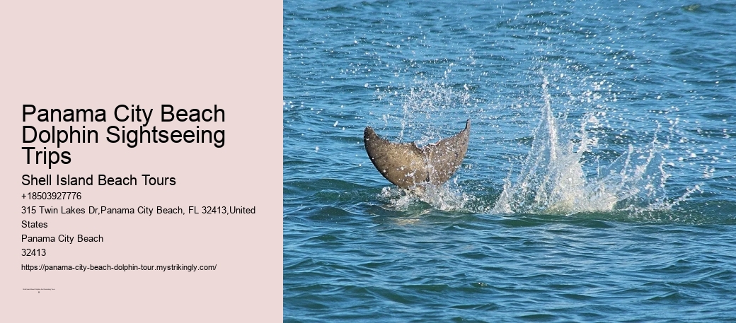 Panama City Beach dolphin excursion trips