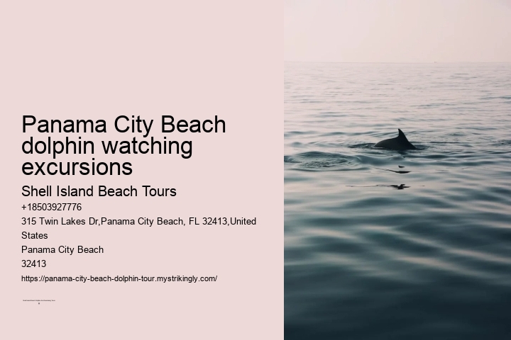 Panama City Beach Jet Ski Dolphin Tours