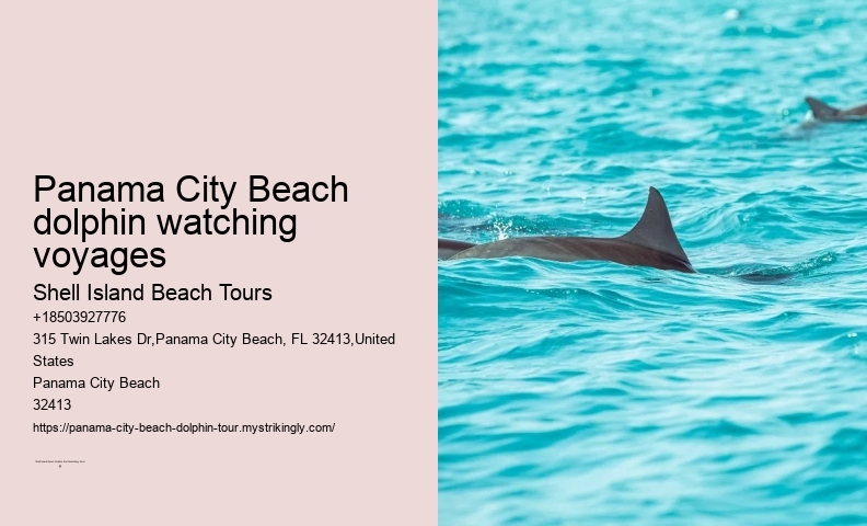 Blue Dolphin Tours Panama City Beach