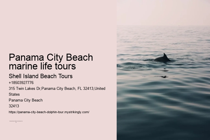 Panama City Beach marine life tours