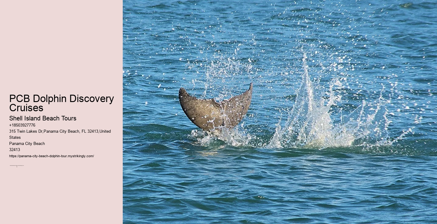 Coastal weather patterns