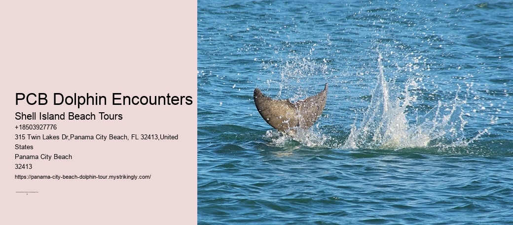 PCB Dolphin Encounters