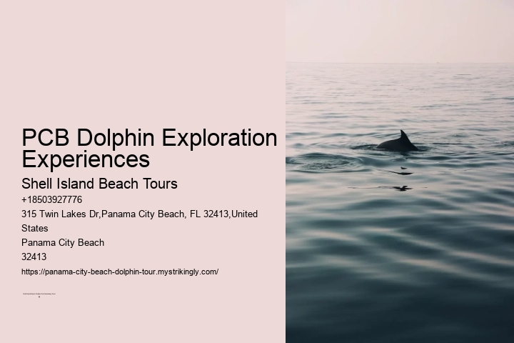 PCB Dolphin Exploration Experiences