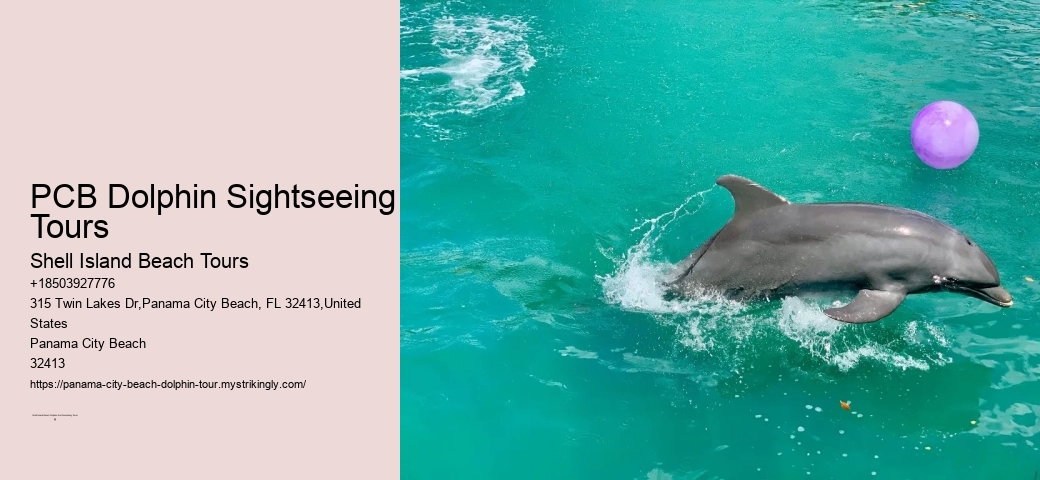 Do dolphin tours in Panama City Beach guarantee sightings