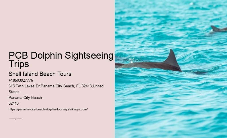Panama City Beach Dolphin Tours & More Panama City Fl