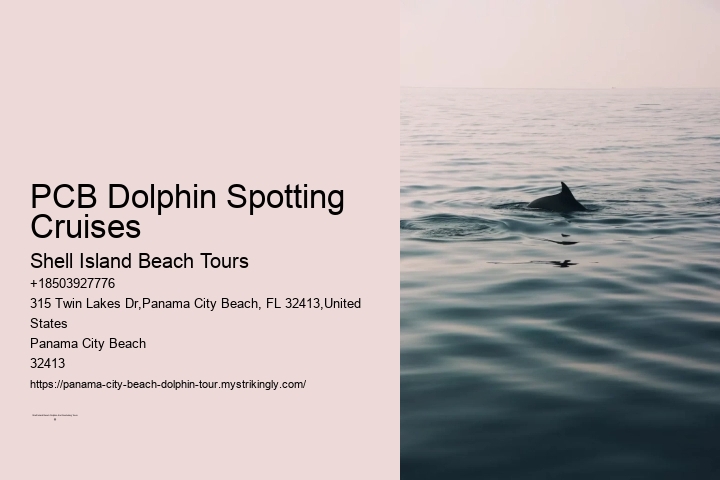 Dolphin Tours Destin