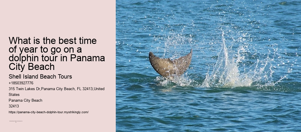 Why Is Panama City Beach So Popular